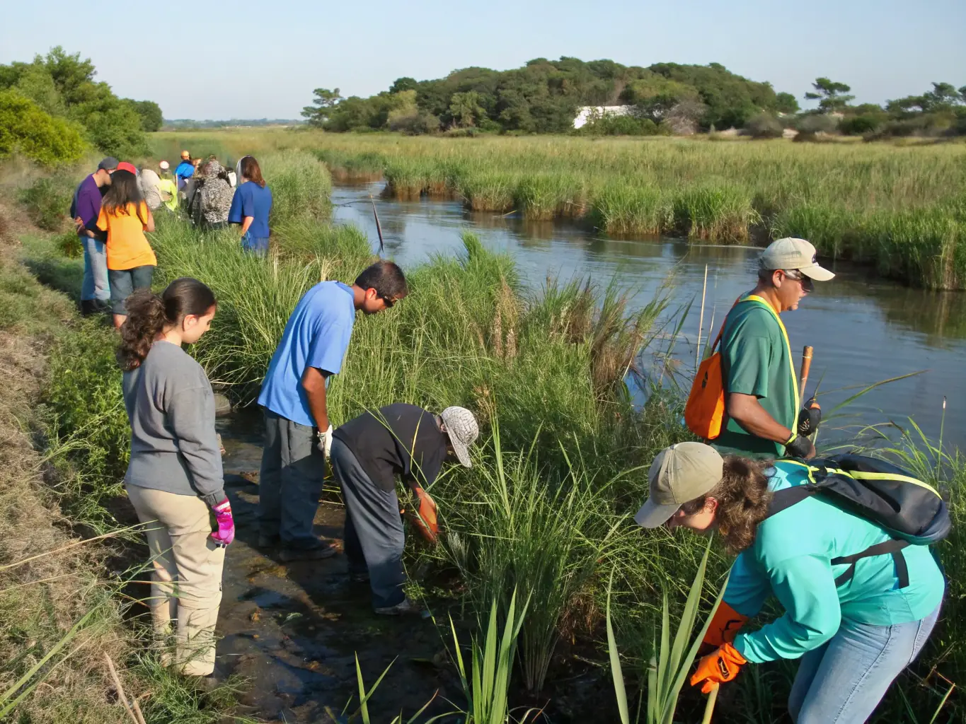 Volunteers planting trees and native vegetation as part of a habitat restoration project, contributing to biodiversity and ecosystem health in a rural landscape.